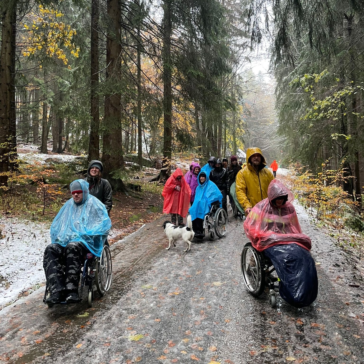 Přečtete si více ze článku Promrzlí výletníci v Kořenově 24.-28.11. 2025